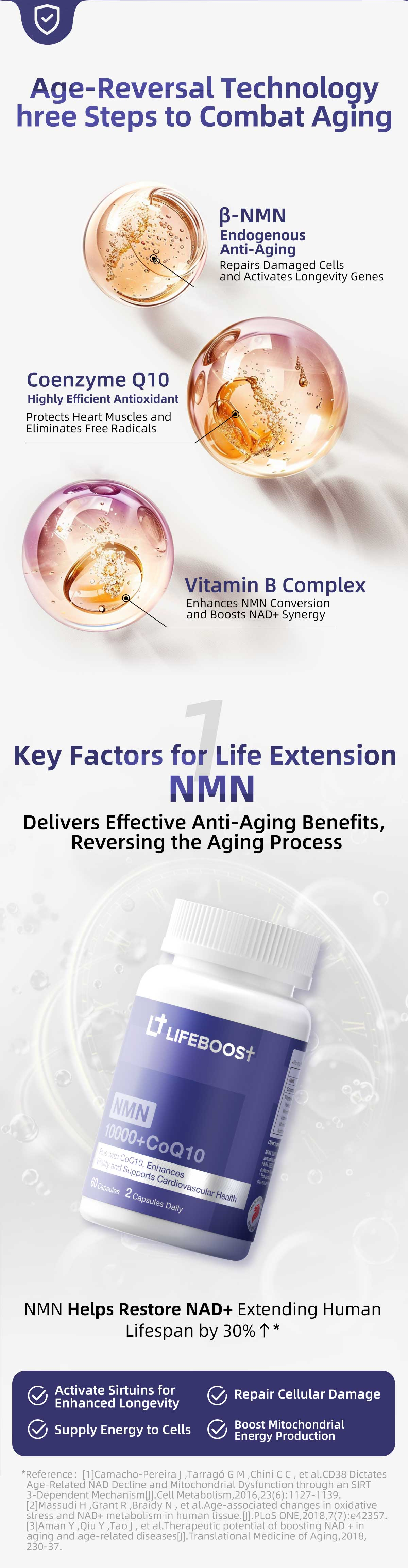 NMN10000 + CoQ10