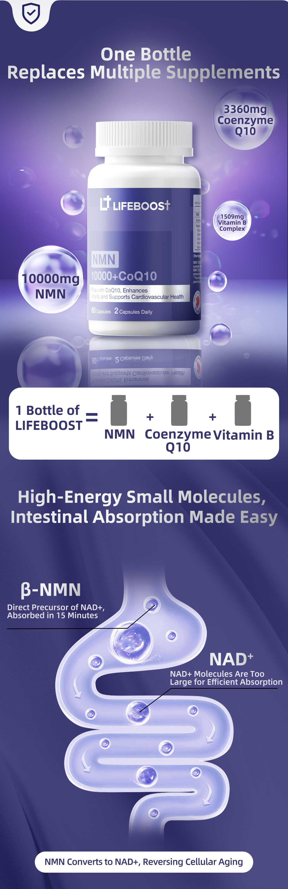 NMN10000 + CoQ10